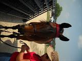 dscn0341