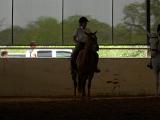 dscn0354
