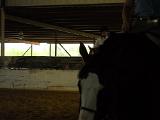 dscn0366