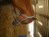 dscn0379