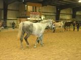 LopeShow 2010