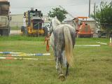 dscn2315