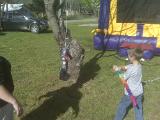 IMG00281