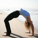 p90x-yoga-x-wheel-300x300