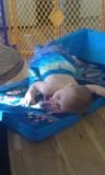 IMAG0268