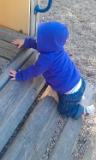 IMAG0926