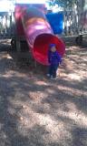 IMAG0929