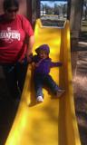IMAG0931