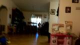 VIDEO0011