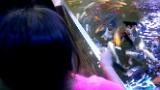 VIDEO0255