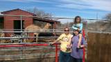 Snake Farm Jan17