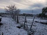 Snow 12 8 2017