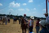 Picture 0049
