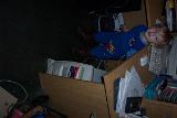 Picture 1209