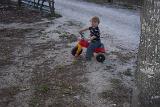 Picture 1216