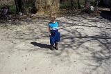 Picture 1227