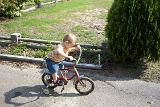 Picture 1372