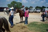 Picture 0042