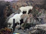 20240619 110304