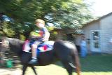 Picture 0136