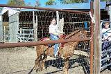 Picture 0137