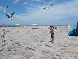 DSCN0907