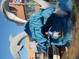DSCN0919