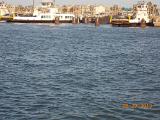 DSCN0984
