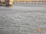 DSCN0989