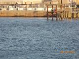 DSCN0998