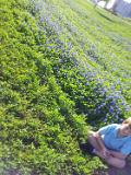 IMG 20120325 174936