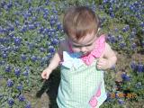 DSCN0606