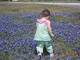 DSCN0610