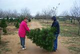 Picture 0206