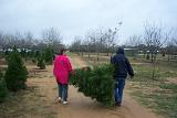 Picture 0207