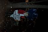 Picture 0249