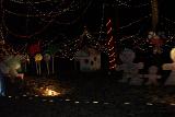 Picture 0250
