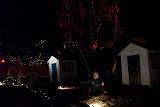 Picture 0261
