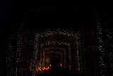 Picture 0265