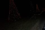 Picture 0270