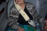 Picture 0282