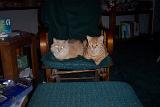 Picture 0382