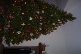 PictureA 0362