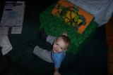 PictureE 1117