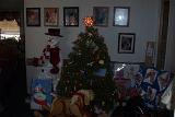 PictureE 1195