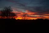PictureE 1213