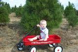 Picture 0265