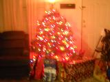 DSCN3857