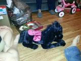 CameraZOOM-20121225082340227