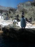20141229 122146~01
